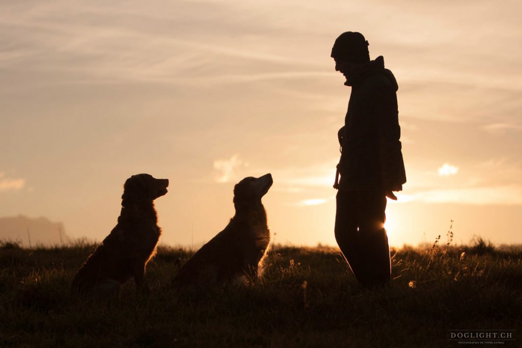 Au coucher du soleil chien et maître