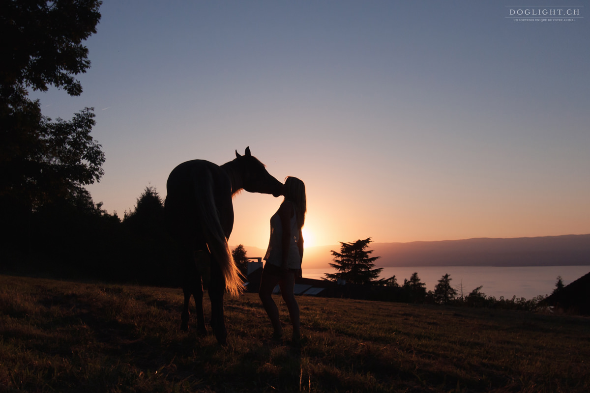 Relation Magique Entre Une Femme Et Son Cheval Au Coucher De