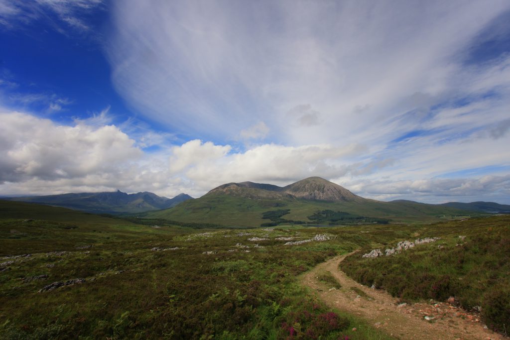 L'Ecosse avec son chien