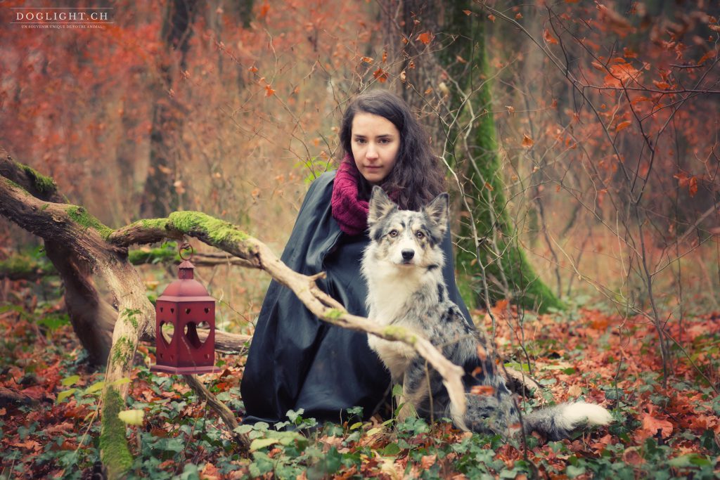 Séance photo magazine avec un chien loup border collie