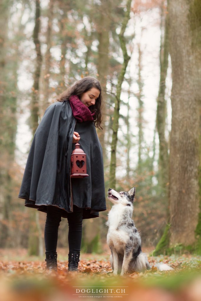 Shooting photo animal chien loup