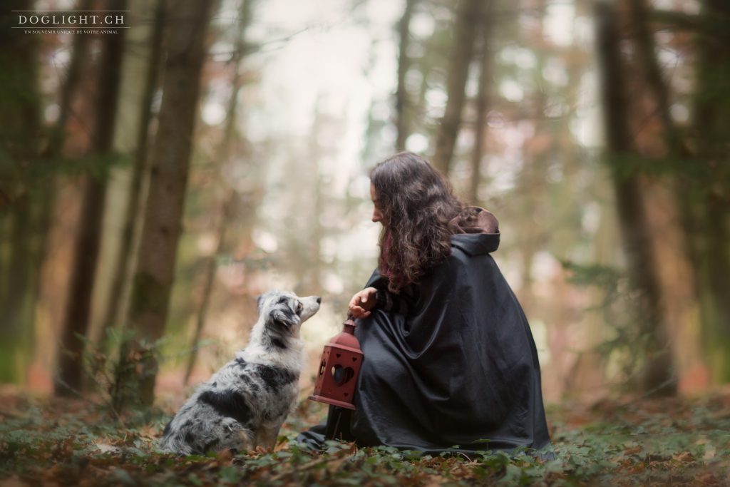 Shooting photo chien forêt