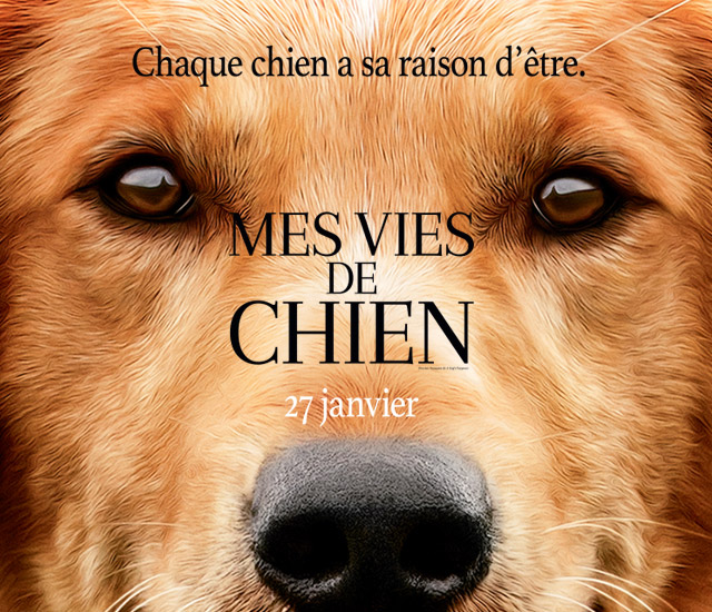 Mes Autres Vie De Chien Le film "Mes vies de chien" - Avis | Doglight