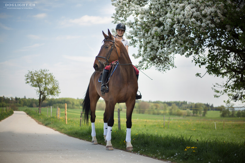 Cheval en balade à Sévery