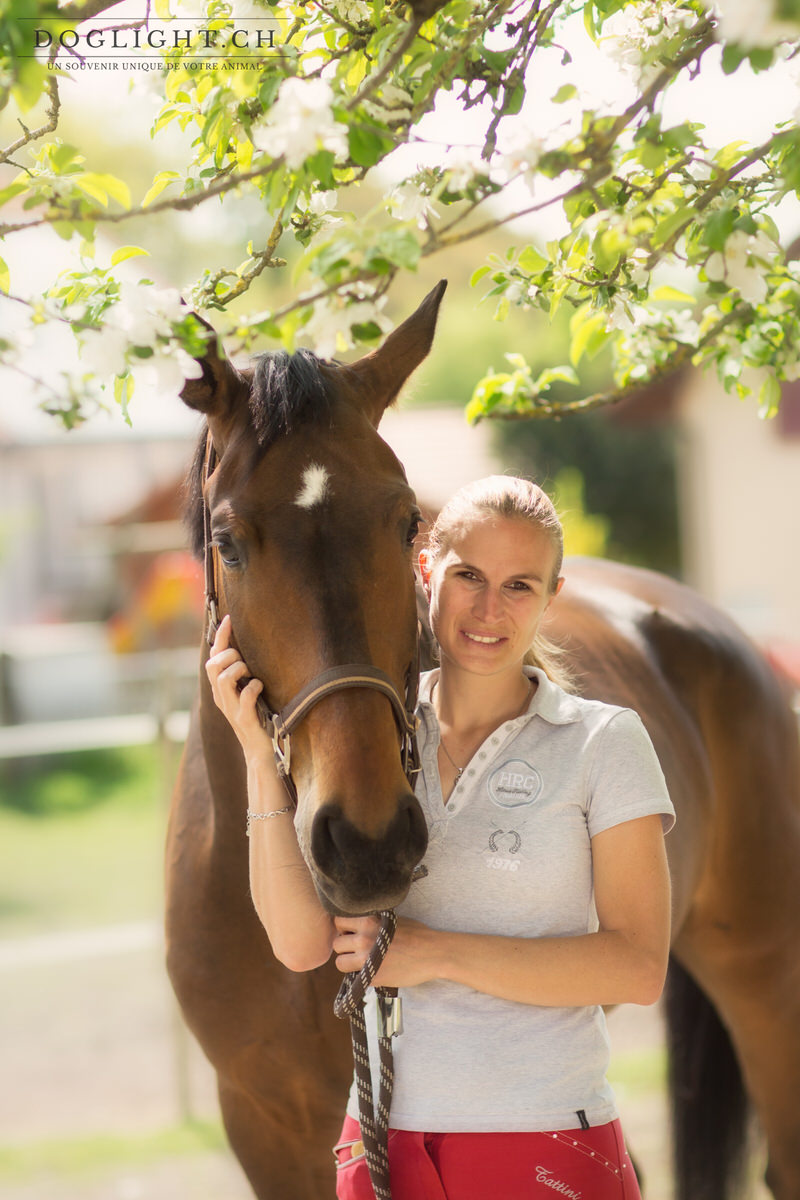 Portrait cheval cavalière photographe