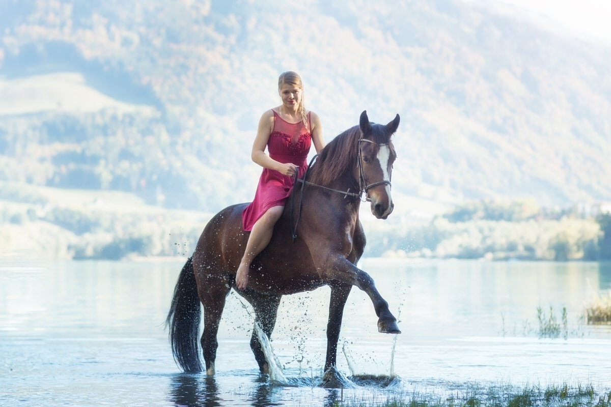 Photo cheval dans l'eau