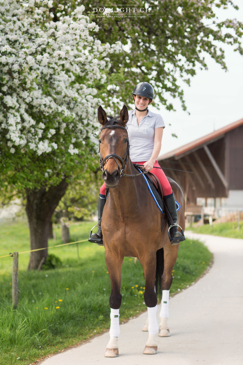 Cheval de concours avec cavalière Morges