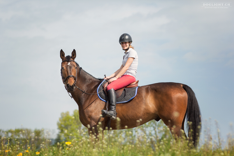 photographie cheval champs de fleur vaud