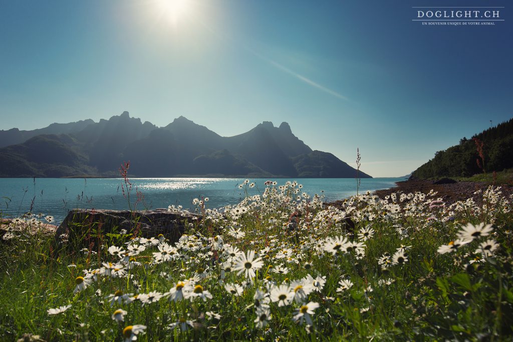 îles Versteralen en Norvège