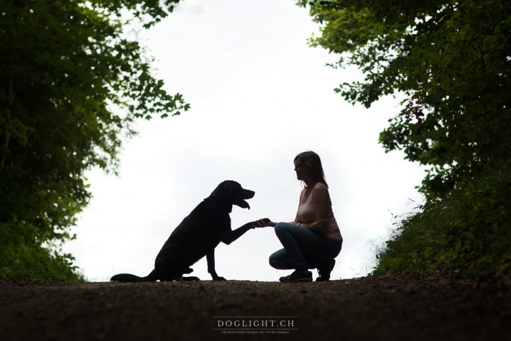 Silhouette labrador noir - Chien et sa maîtresse relation