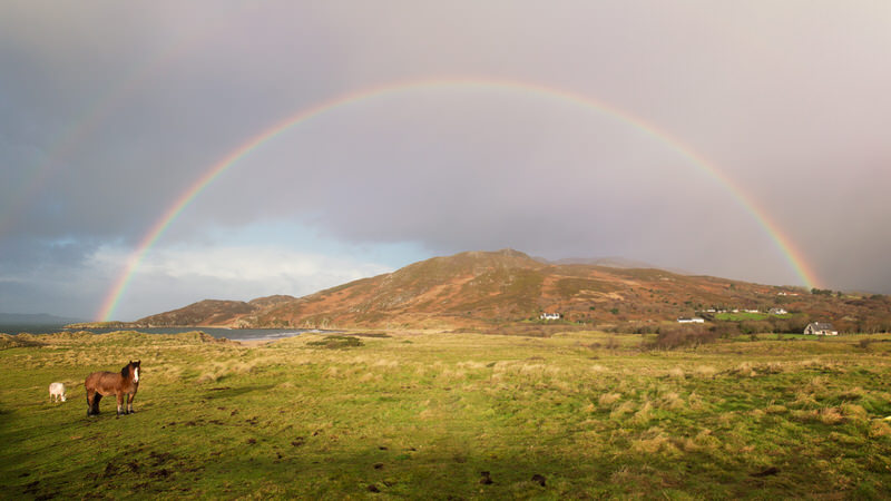 La péninsule d'Inishowen arc-en-ciel chevaux