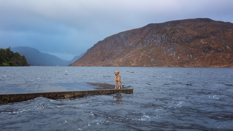 Le parc national de Glenveagh