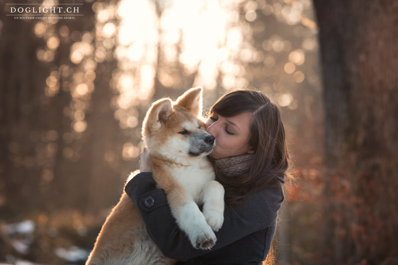 Gros bisous amour Akita Inu