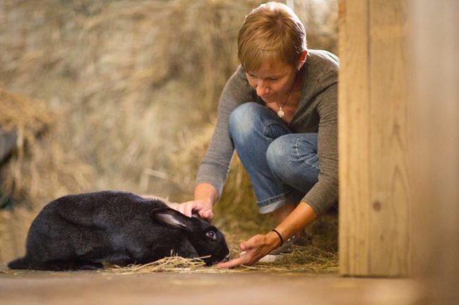 Kinésiologie pour les animaux en Suisse Romande KinesiOanimO