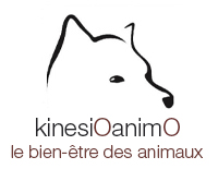 Kinesioanimo - Kinésiologie pour animaux en Suisse Romande