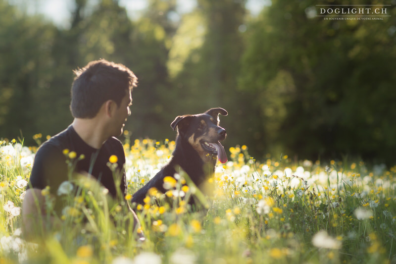 portrait chien maître dans les fleurs à Lausanne