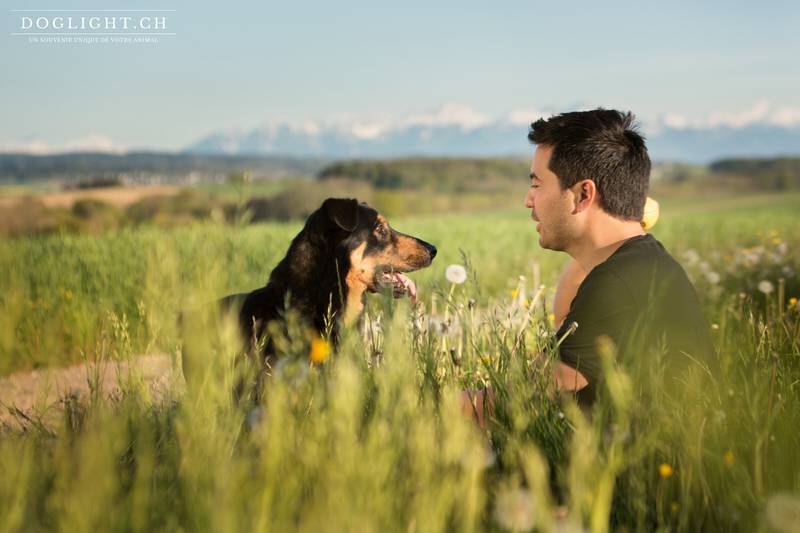 Portrait chien maître face aux Alpes