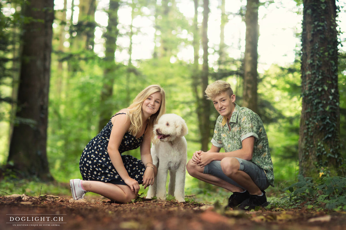 Labradoodle forêt Vaud