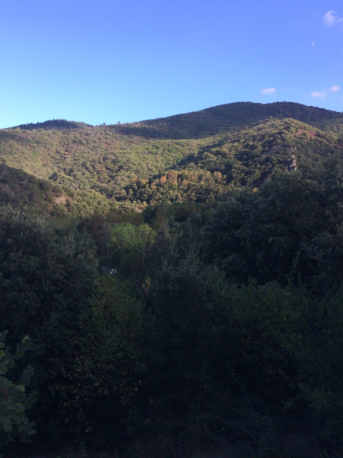 Montagnes Cévennes - Calme et sérénité