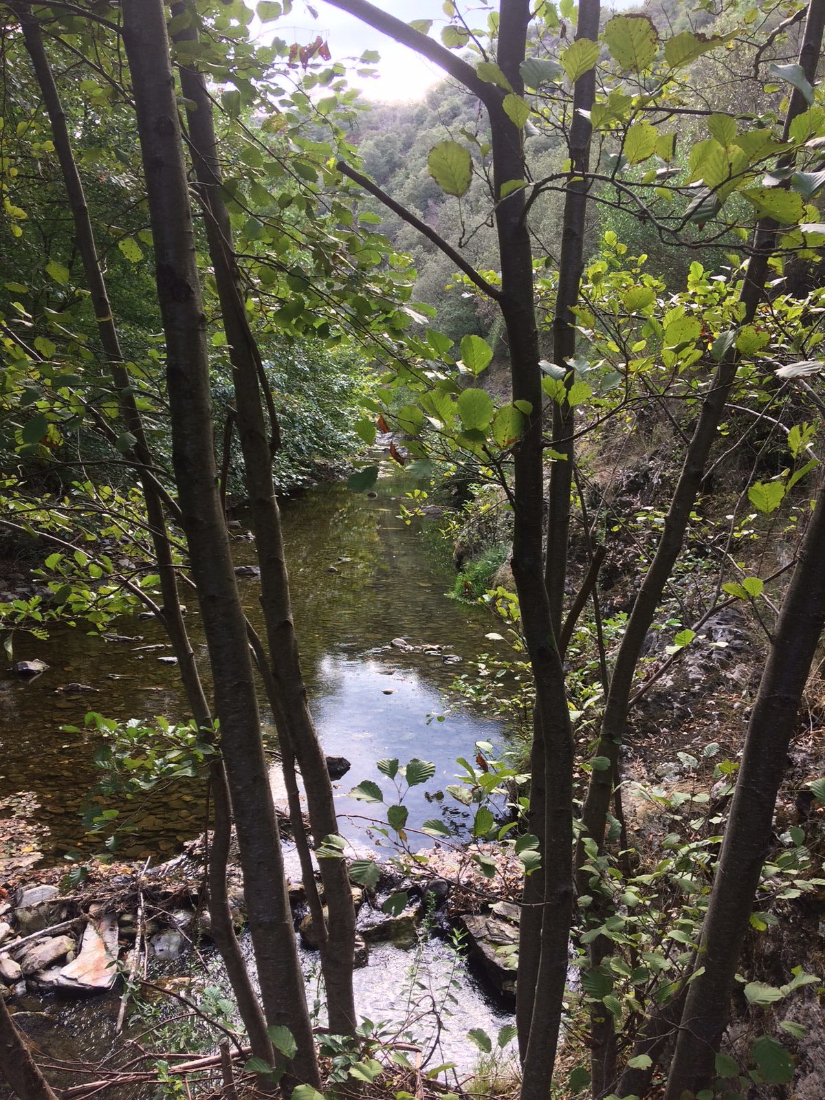 Rivière