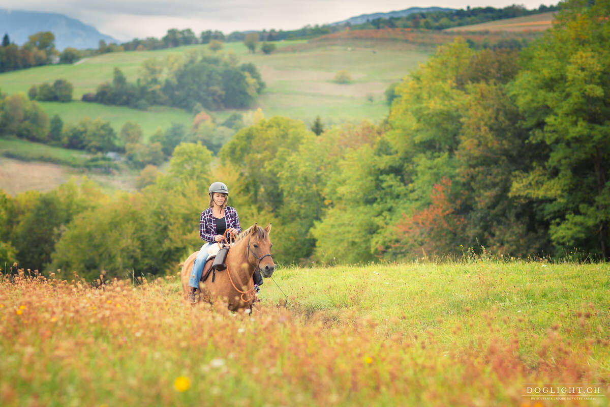 Poney monté dans un paysage coloré