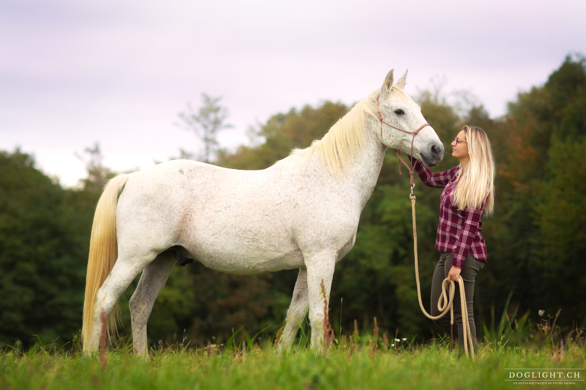 Photo cheval blanc et femme