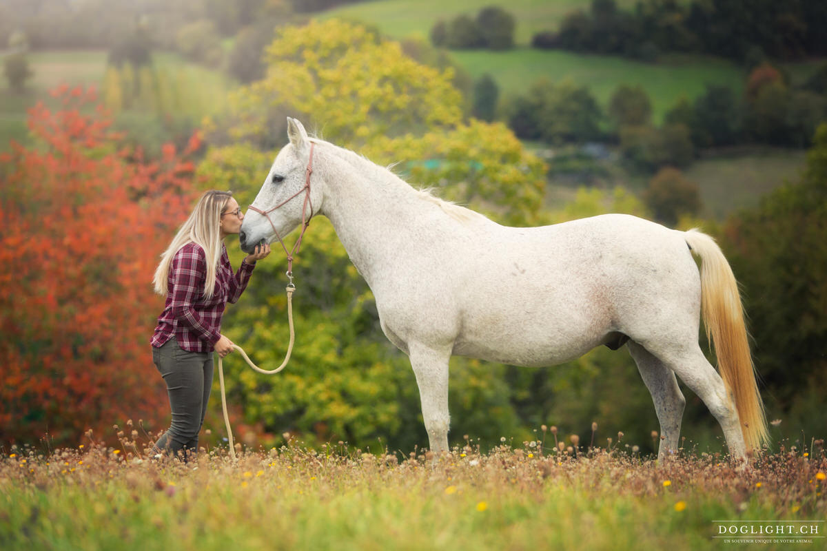 Photo câlin bisous cheval blanc dans un pré
