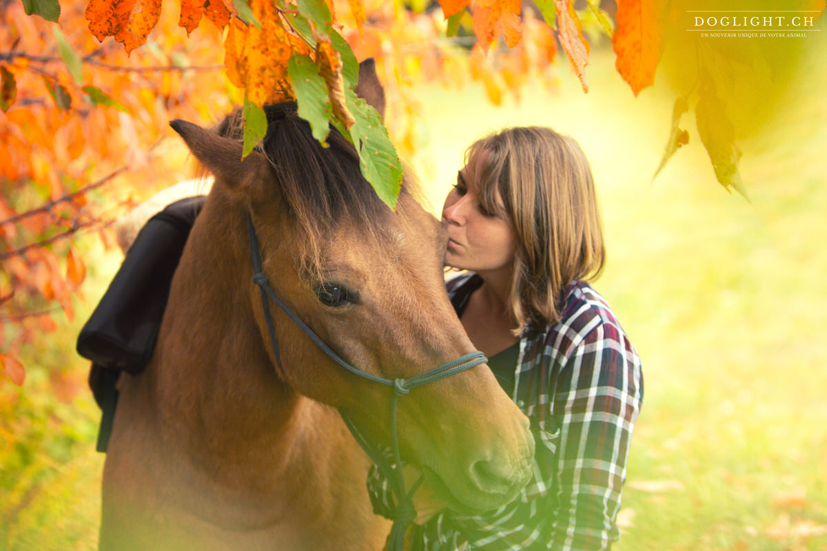 Portrait cheval fille dans les feuilles d'automne