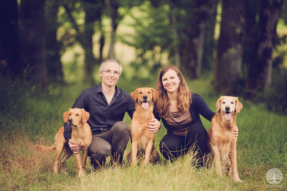 Photo famille avec chiens golden retriever