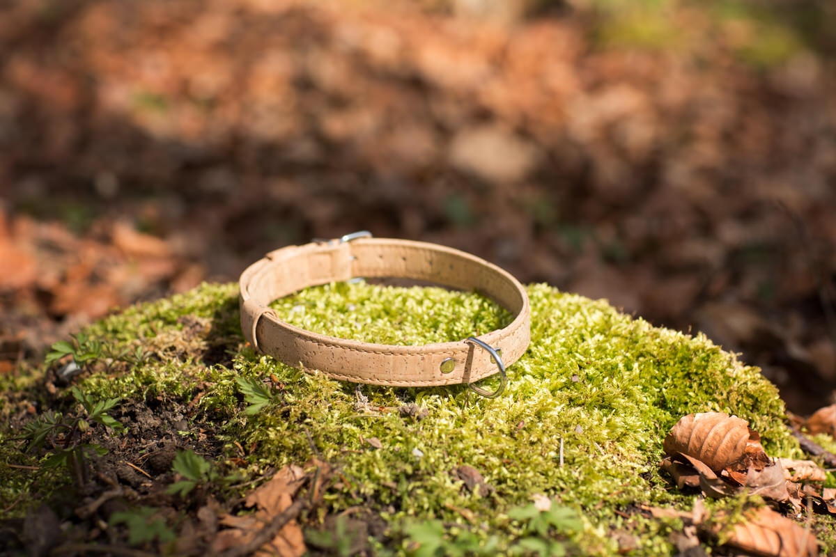 Collier pour chien en matière naturelle - liége