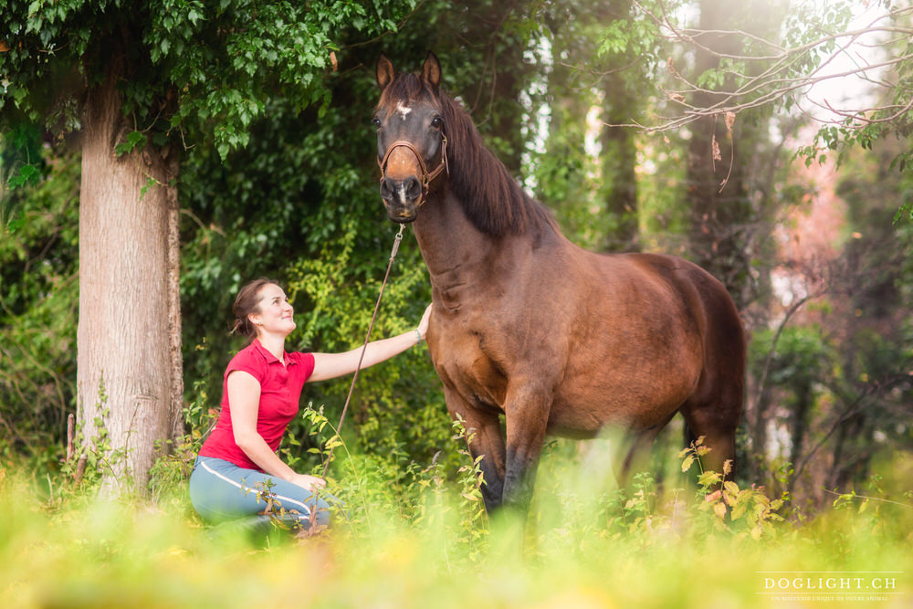 Portrait cheval et complicité