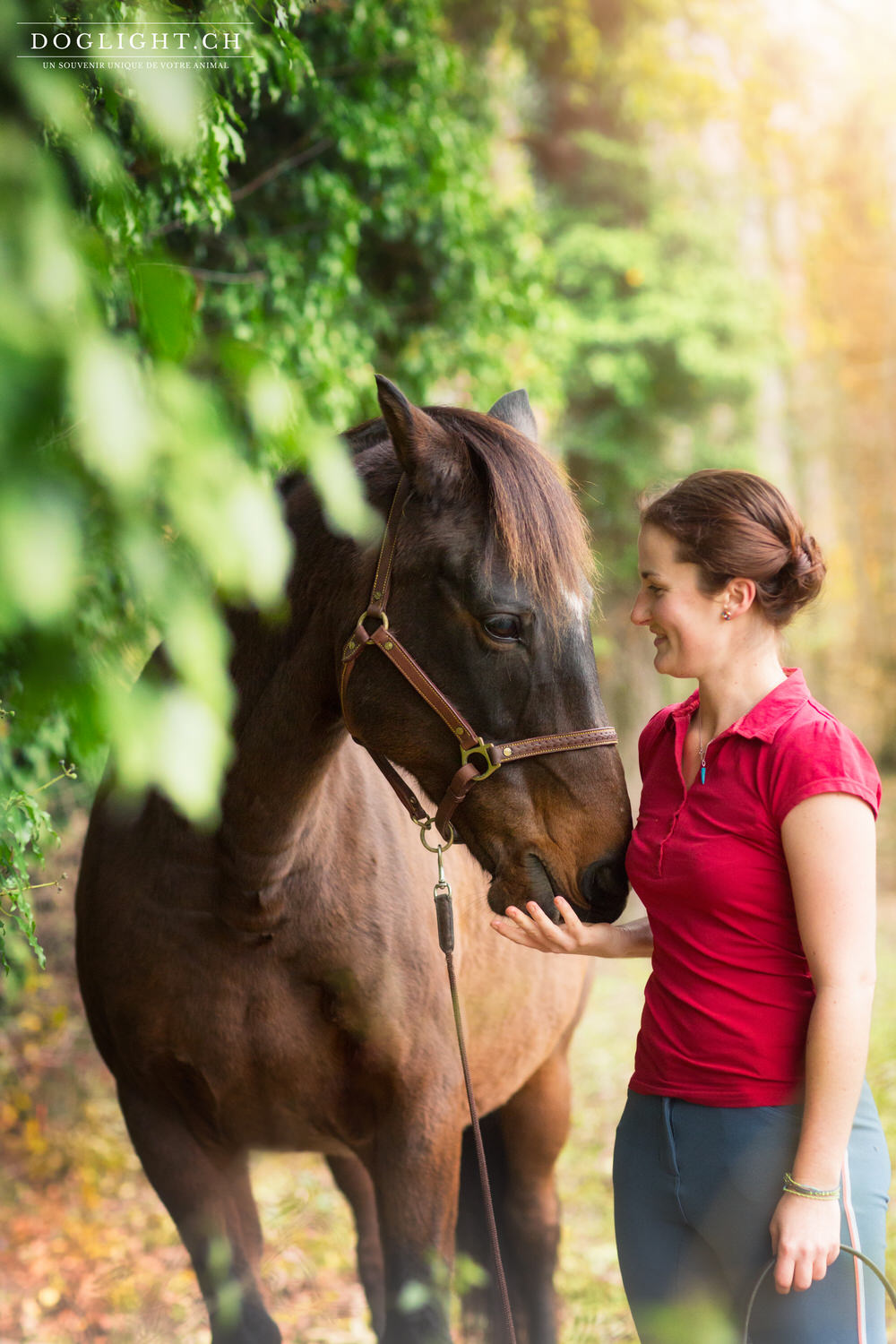 Relation femme et cheval