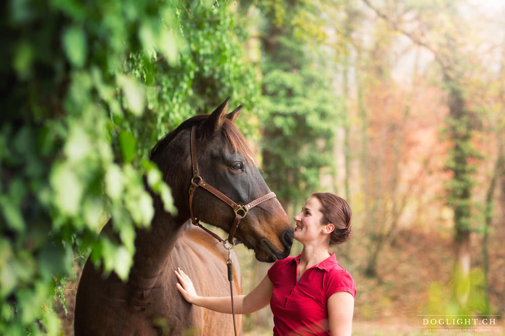 Photographie cheval / femme portrait plein de complicité