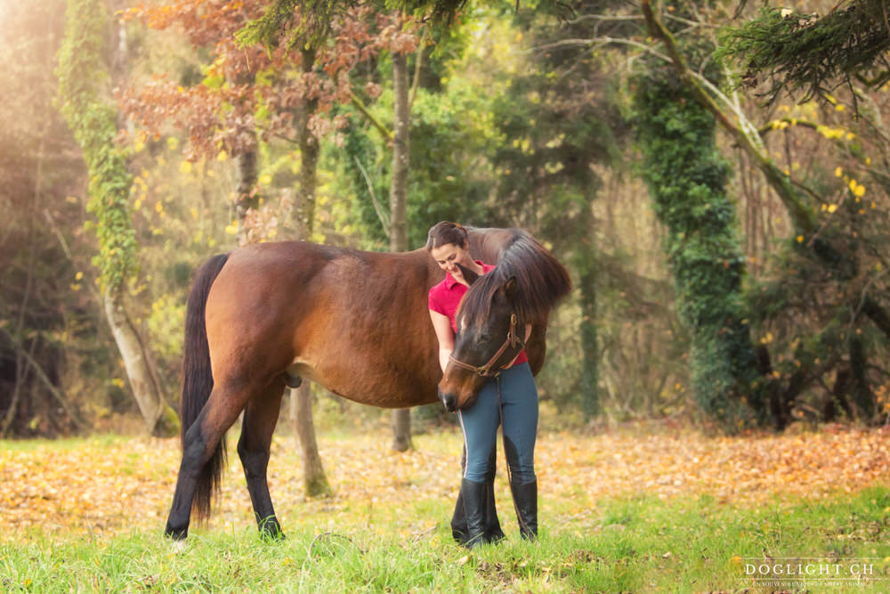 Cheval qui tourne la tête vers sa cavalière