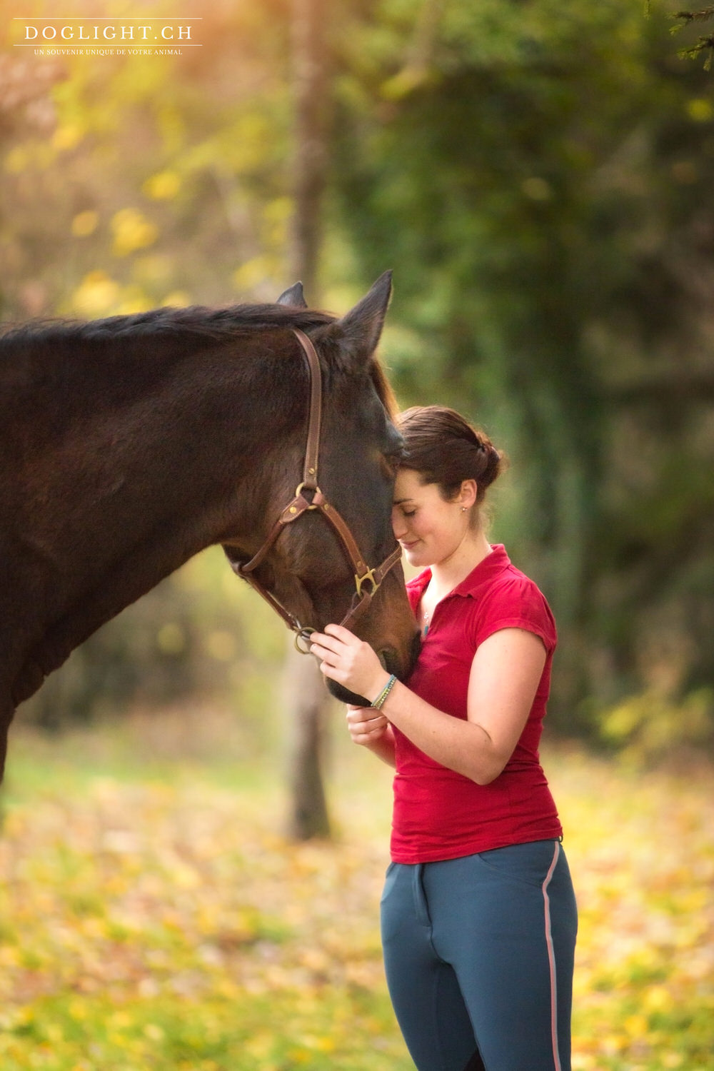 Photographe complicité cheval tête à tête