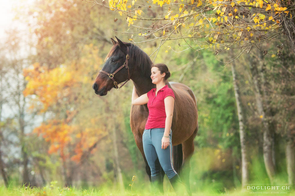 Cheval : regard dans la même direction