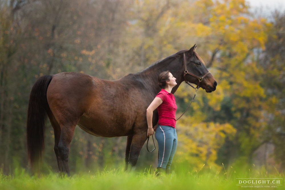 Photo cheval automne