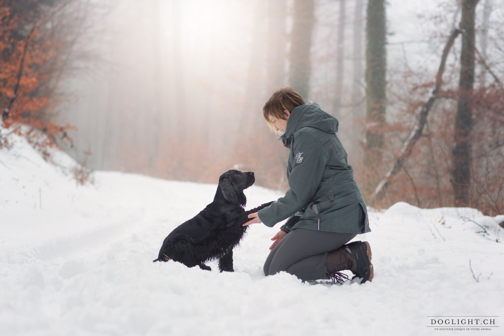 Chien qui donne la patte dans la neige / brouillard