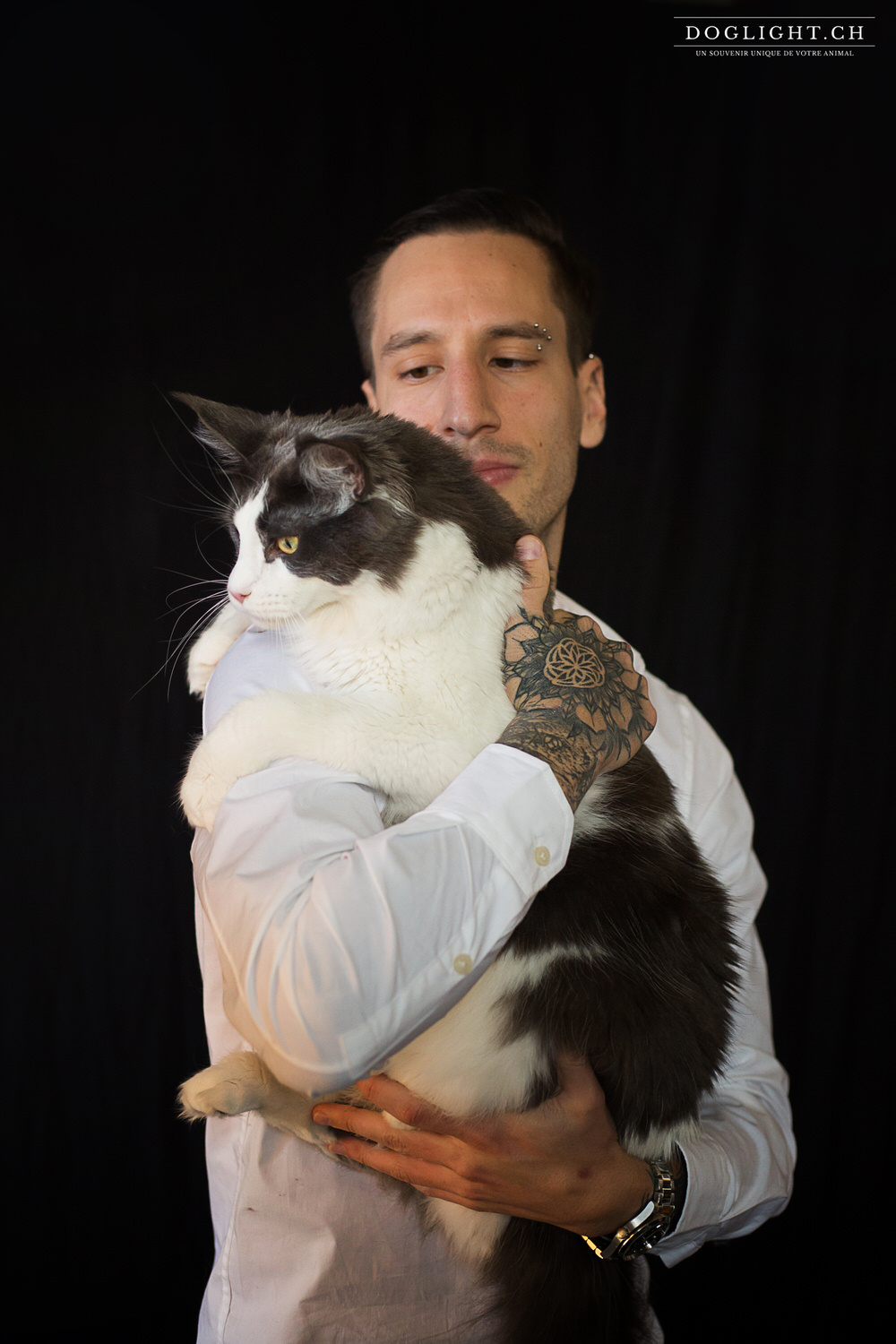 Photo chat Maine Coon tatouage