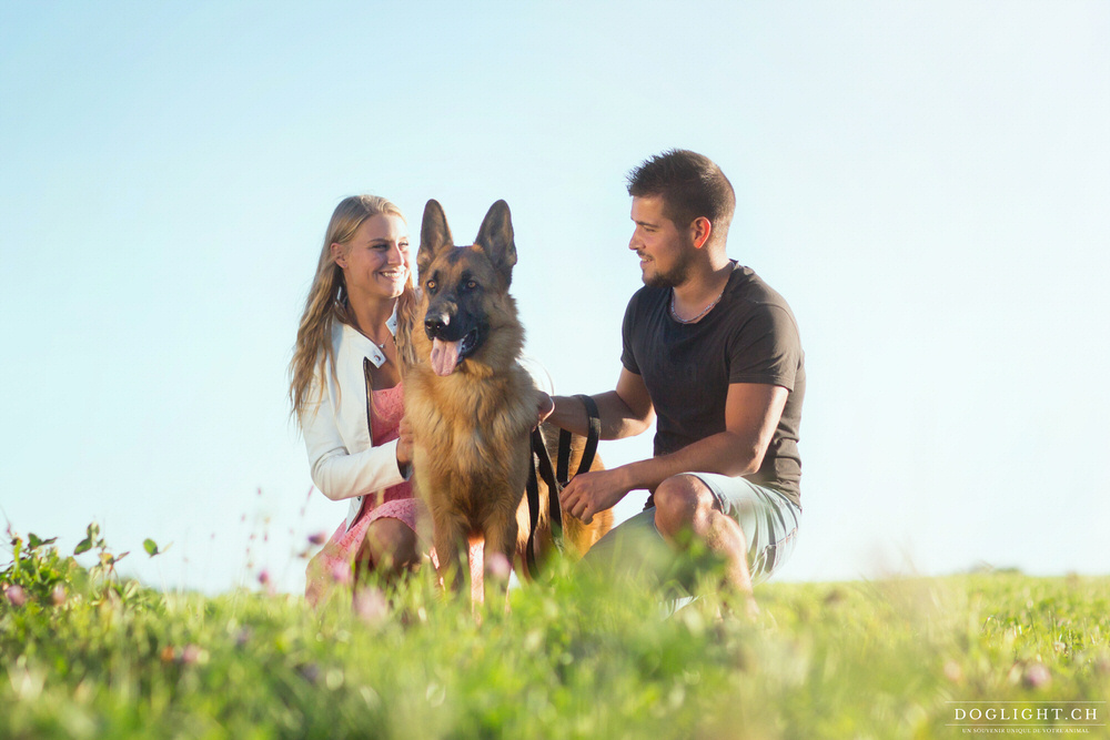 Photo berger allemand en couple