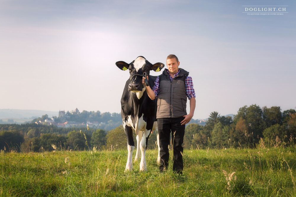 Vache devant le chateau de Bulle / Firbourg