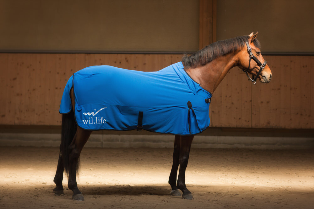 Couverture cheval anti-douleur et sport