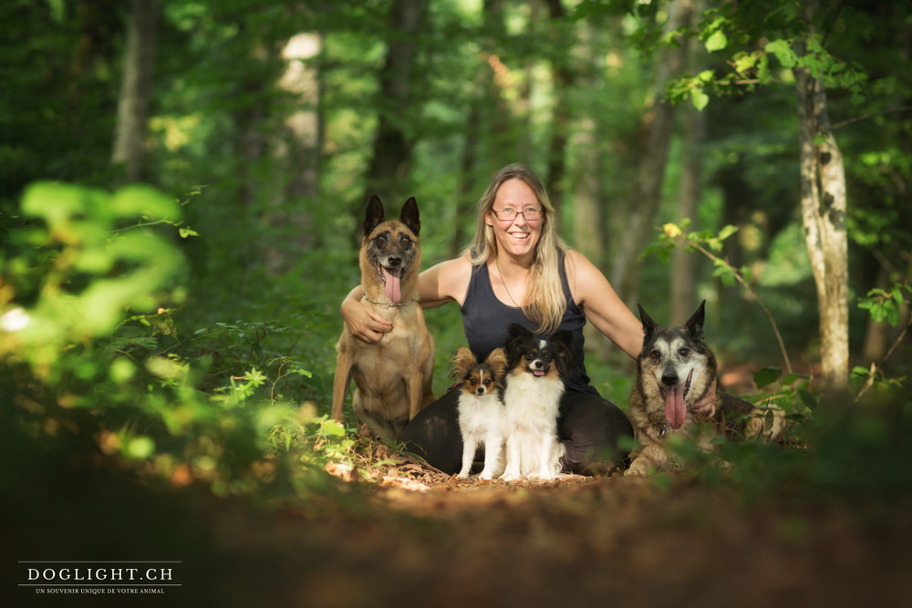 Photo famille 4 chiens : 2 malinois et 2 papillons