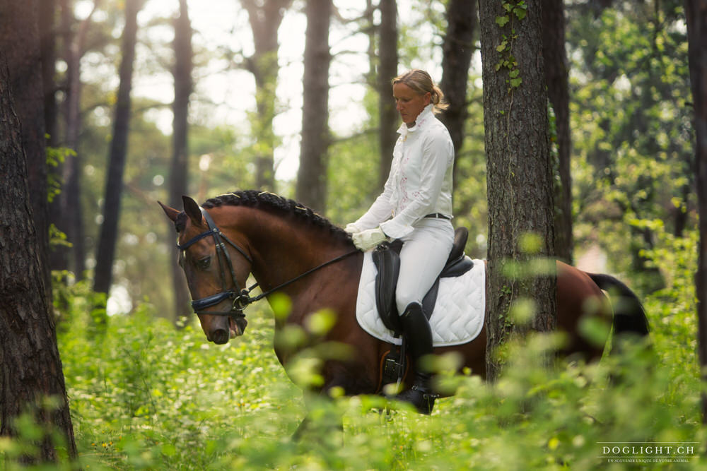 Bijoux équestres sur une crinière en mouvement cavalier de dressage