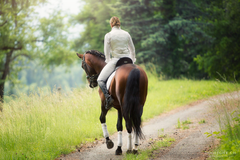 Cheval de dressage en extérieur monté pas de côté photographe