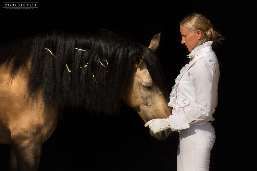 Bijoux crinière cheval de dressage