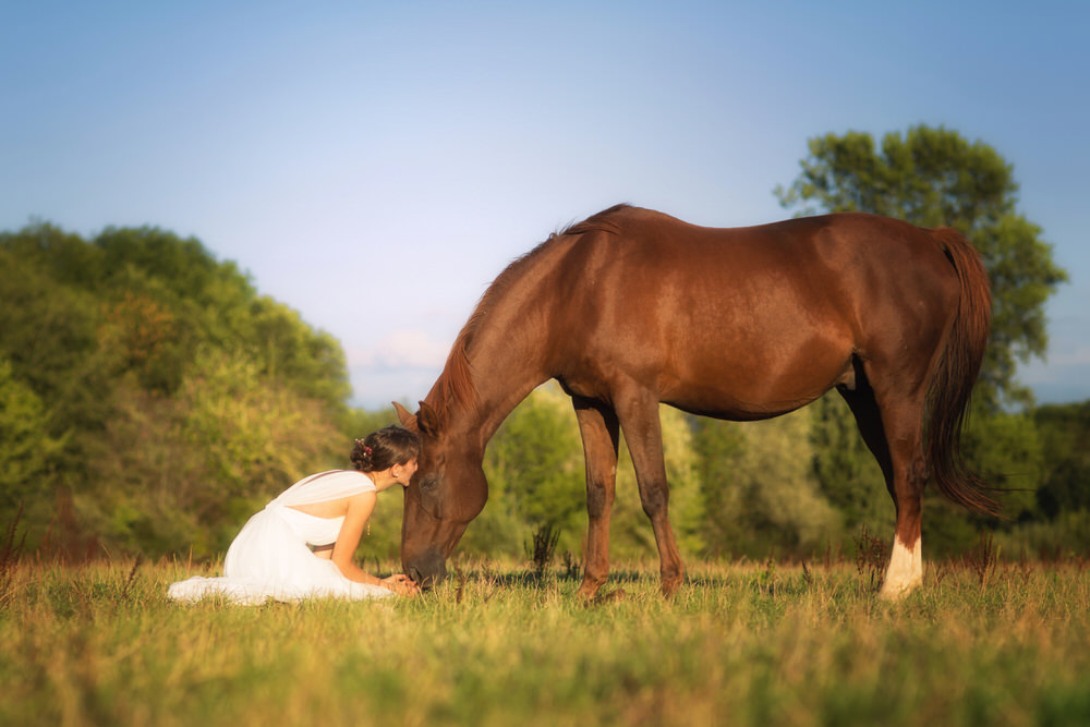 Shooting cheval Normandie