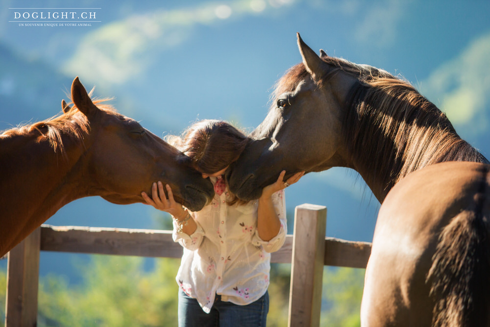 Quarter Horse complicité