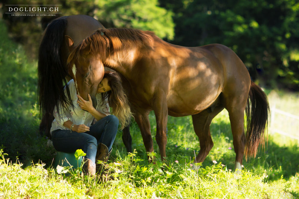 Complicité avec un cheval en Valais