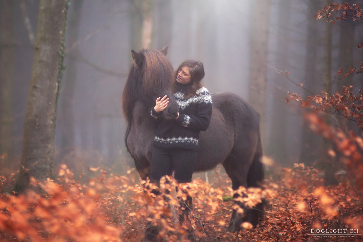 Avec un cheval islandais dans la forêt